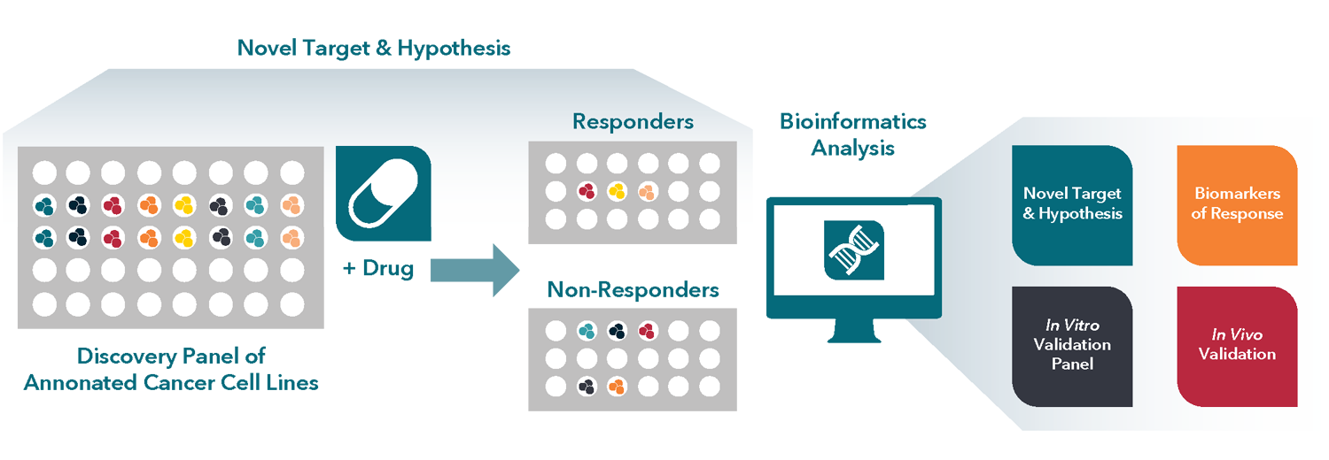 concept of a well validated, large-scale, in vitro, cancer cell line panel screening platform