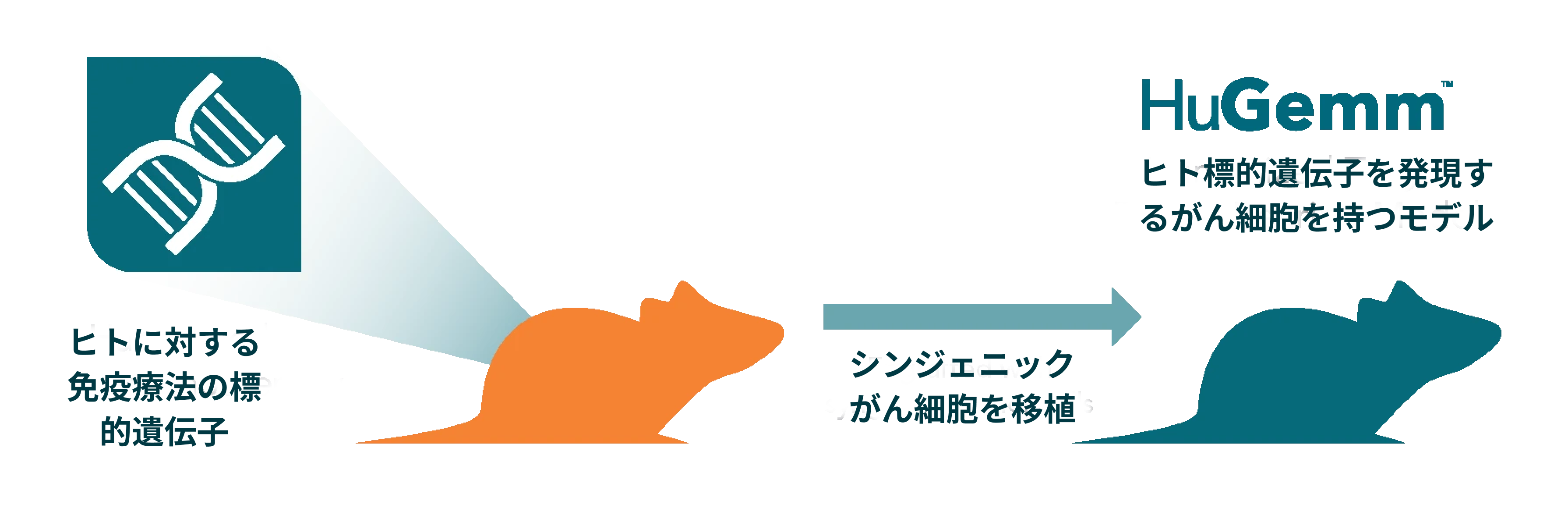 HuGemm 2