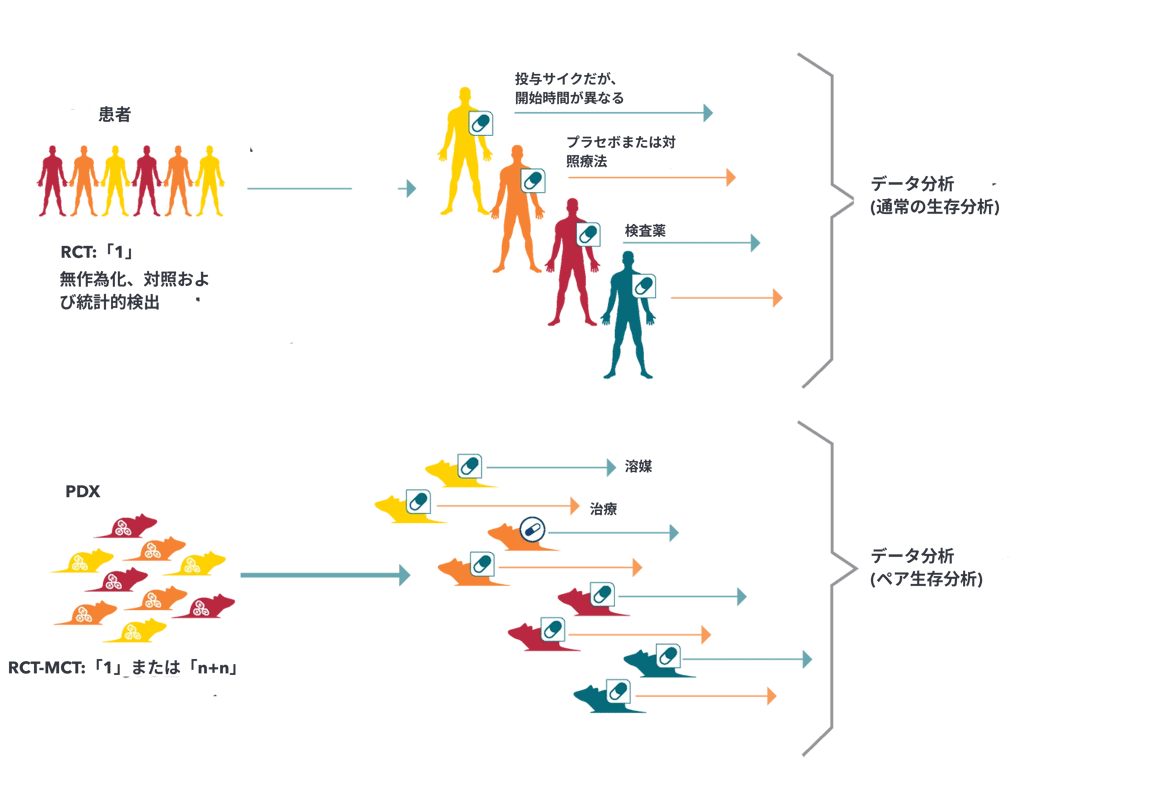 RCT-DATA-ANALYSIS