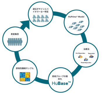 hutrial-circle-chart