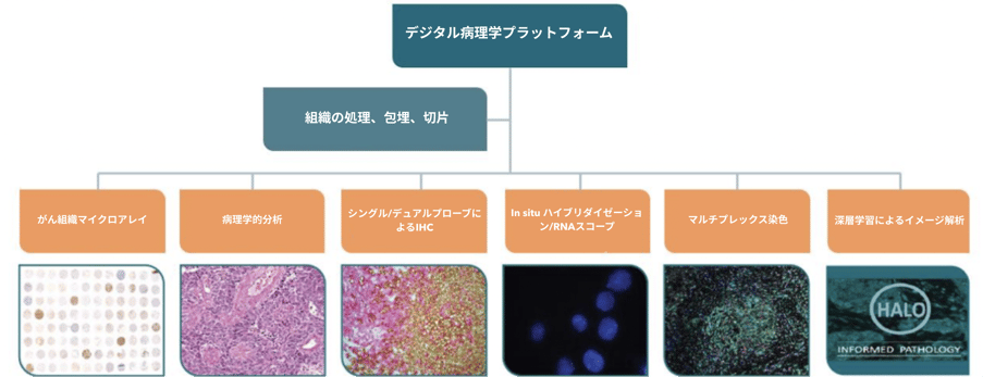 DIGITAL_PATHOLOGY_PLATFORM