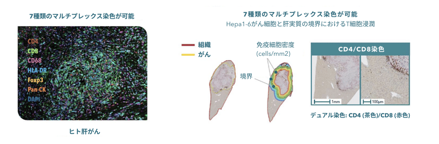 cell-density_analysis