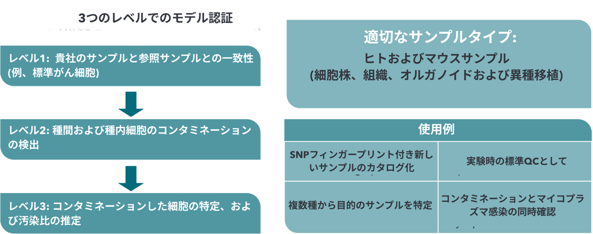 3つのレベルでのモデル認証